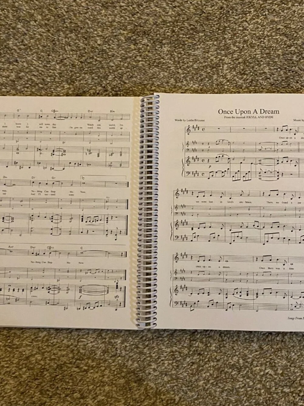 Sing! Text & Songs for Voice Class by Joan Wall & Pamela Stout with 2 CDs.